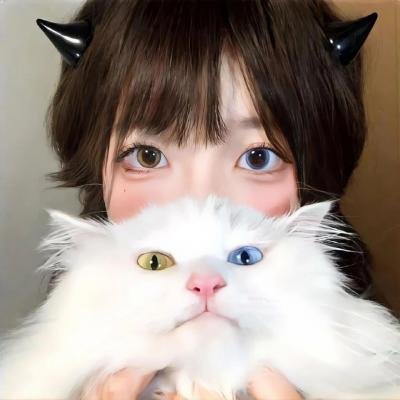 新灰姑娘