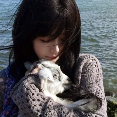 金牌律师之生死劫